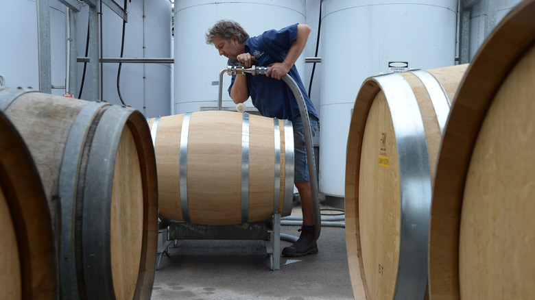 Winemaker hovering over wine barrel