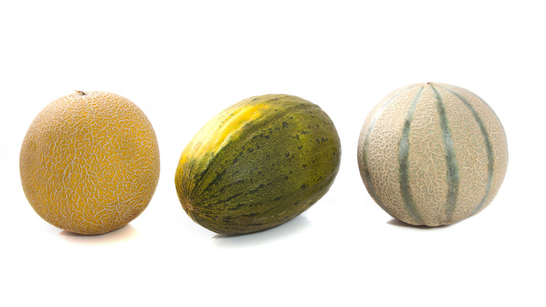 Three different cantaloupe melons