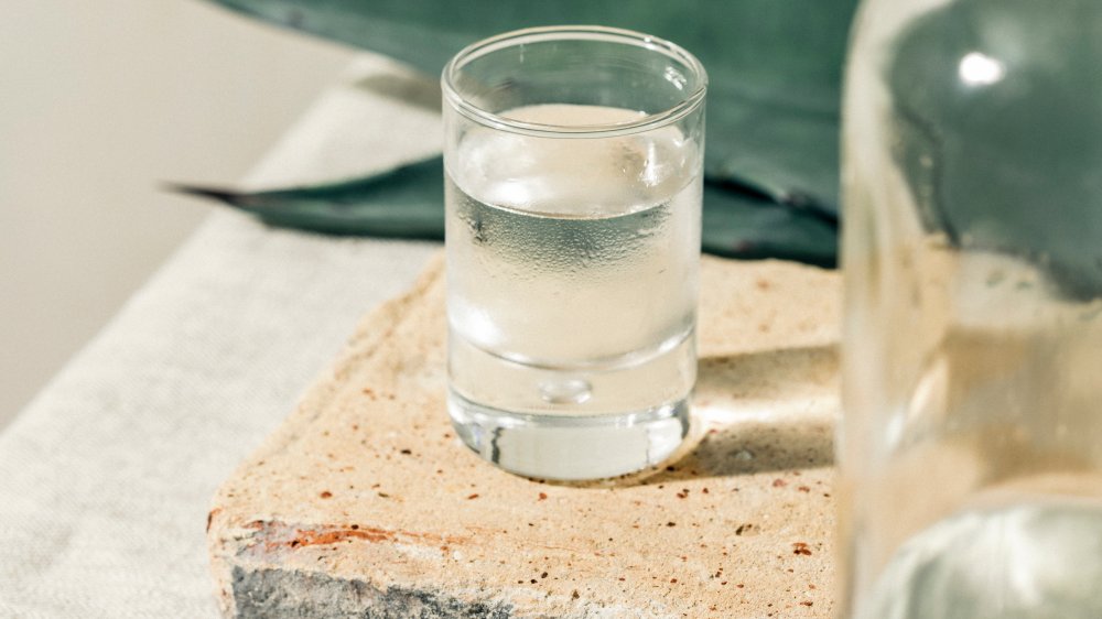 shot of mezcal