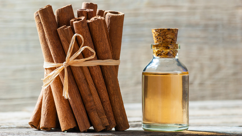 Cinnamon sticks and essential oil