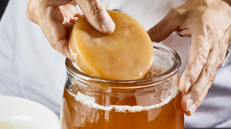 adding scoby to kombucha jar