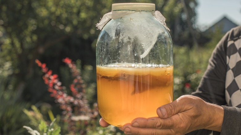 hands holding jar of kombucha