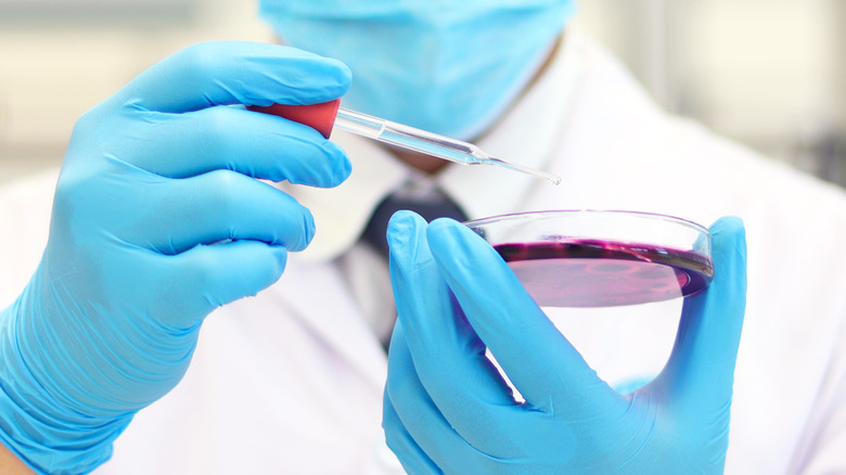 scientist using petri dish and dropper