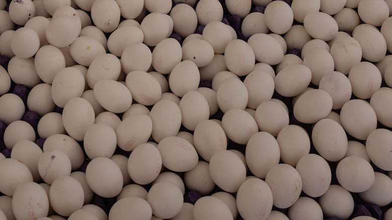 White eggs piled in bin
