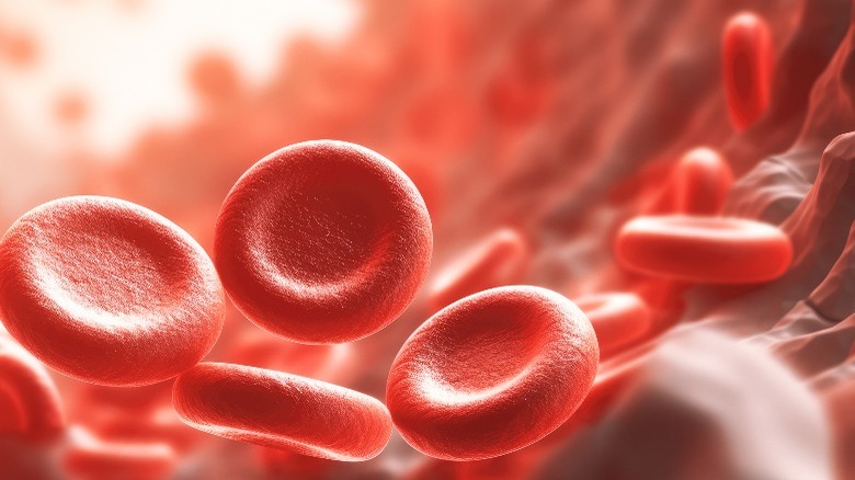 3D image red blood cells