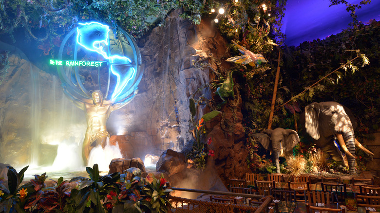 Inside the Rainforest Café 