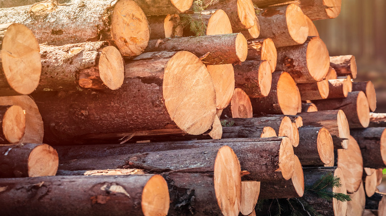 Wooden logs stacked