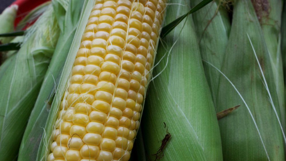 White and yellow corn