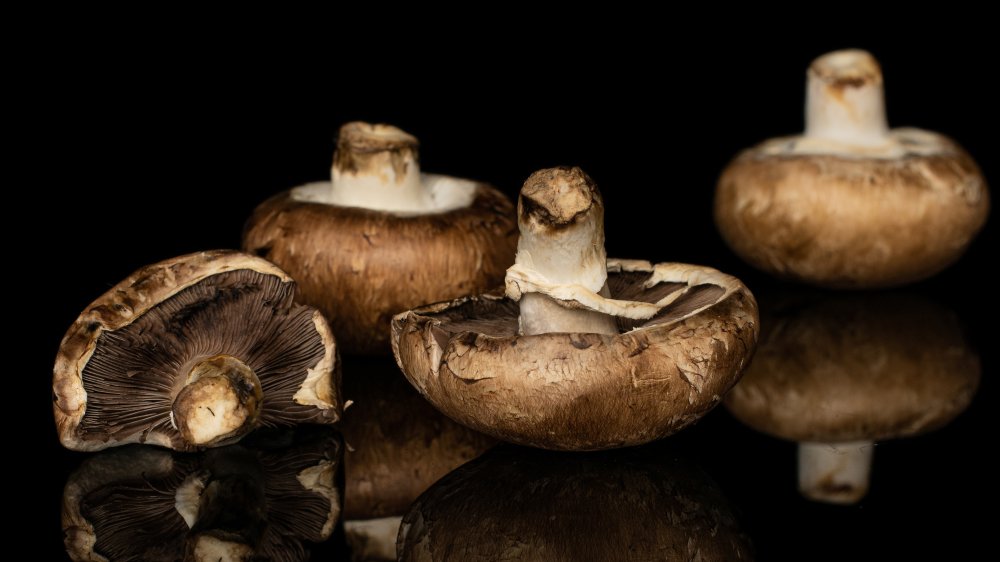 Various angles of portabella mushrooms on a black background.