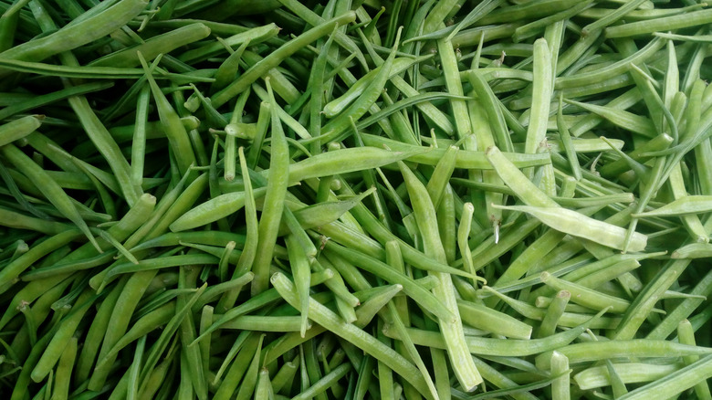 pile of guar beans