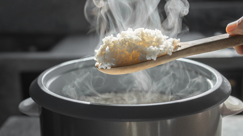 steaming spoonful of rice