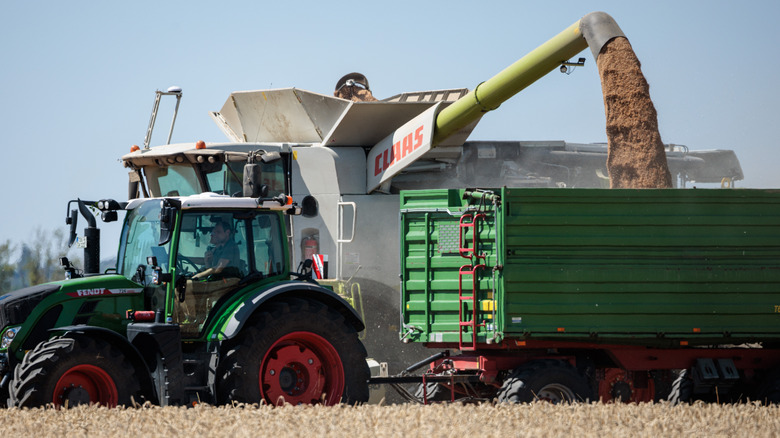 wheat combine harvester