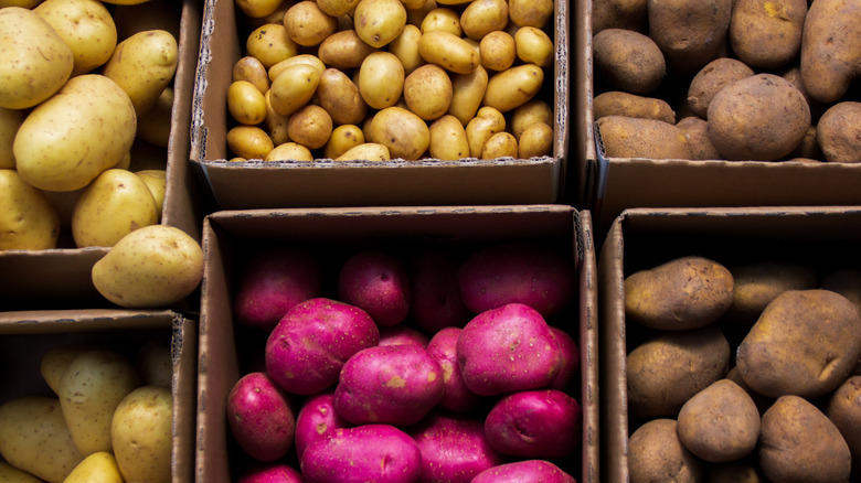 Potatoes in cardboard boxes