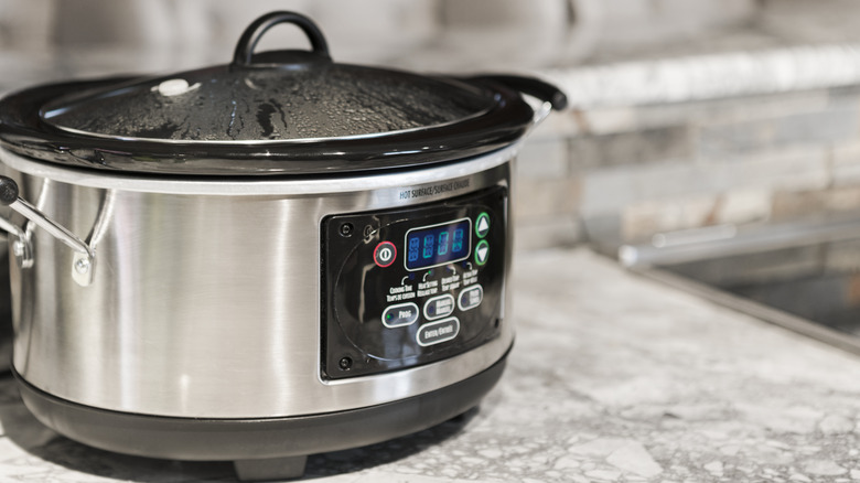 crockpot on counter