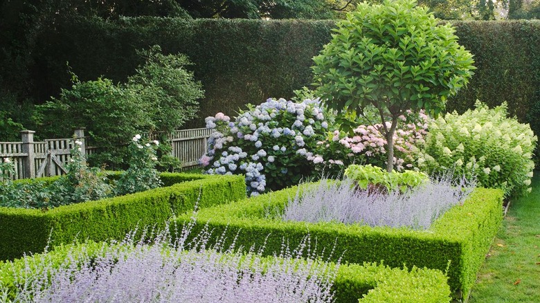 Ina Garten's outdoor garden with lavender fields and trees