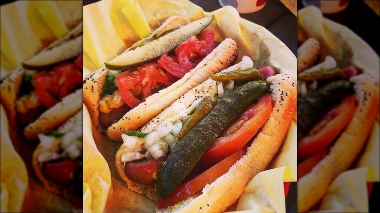 Chicago-style hot dogs at Mustard's Last Stand