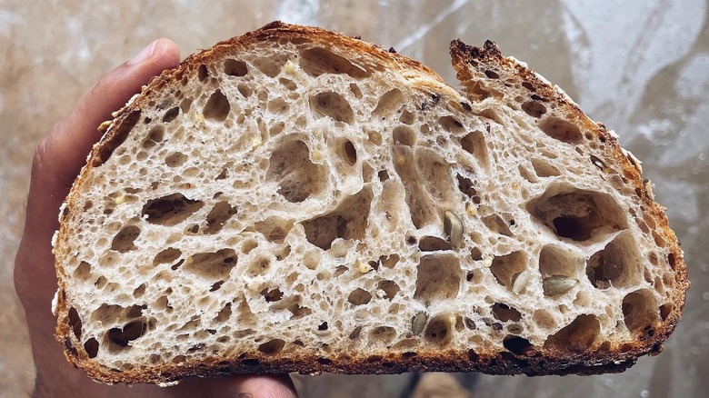 close up sourdough bread crumb