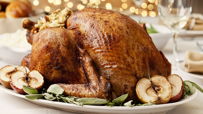 is dark or white turkey meat healthier