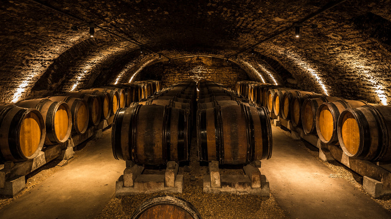 wine barrels in cellar