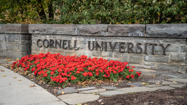 Sign for Cornell University