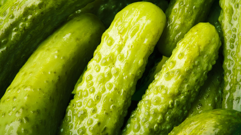 Fresh dill pickles