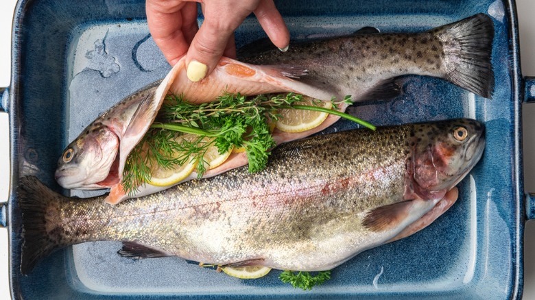 stuffed cavity rainbow trout