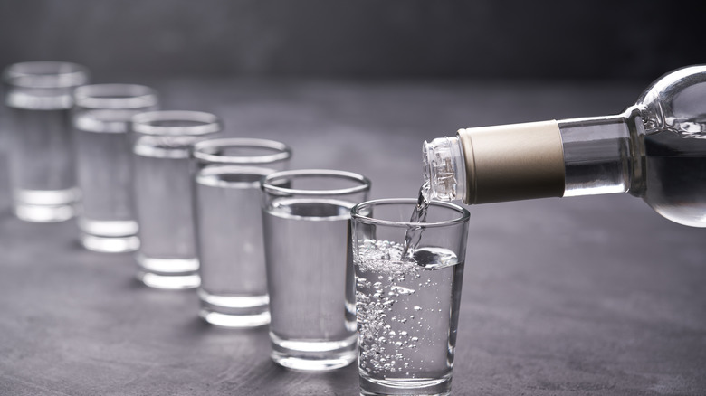 Six shot glasses with vodka on grey table