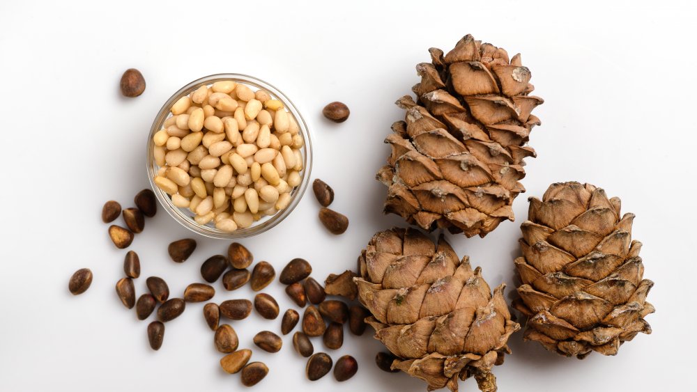 Pine cones with pine nuts