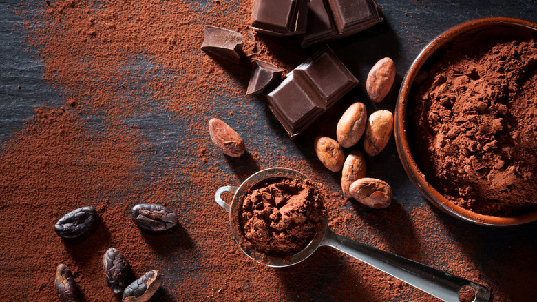 cocoa beans and cocoa powder