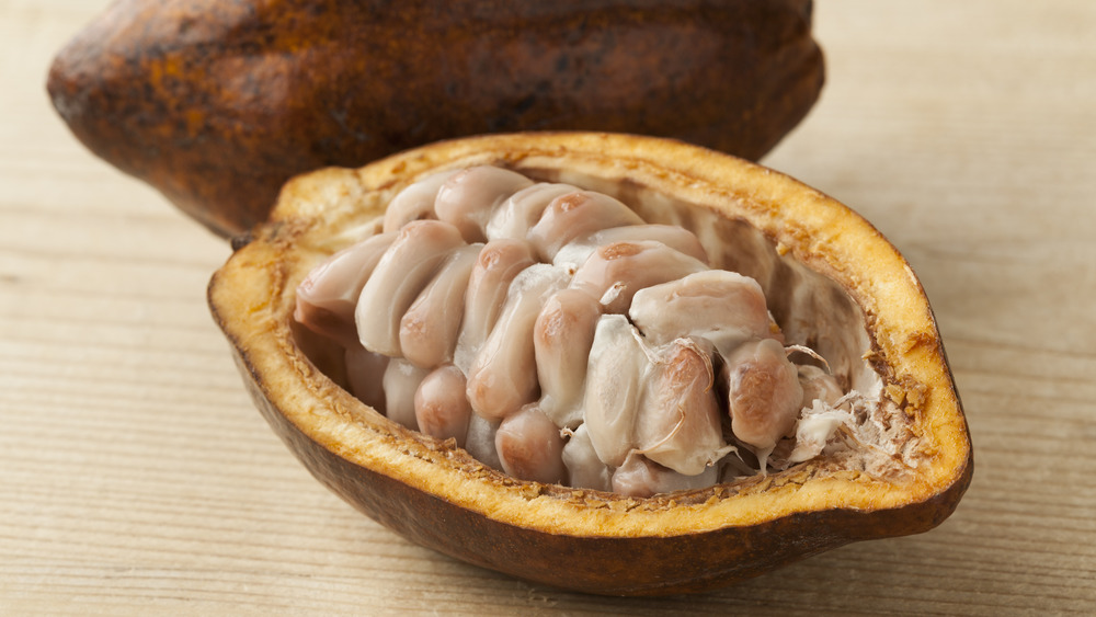 A split cocoa pod