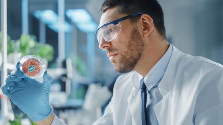 Microbiologist examining lab-grown meat sample