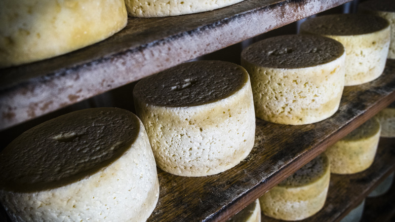 aging wheels of cabrales cheese