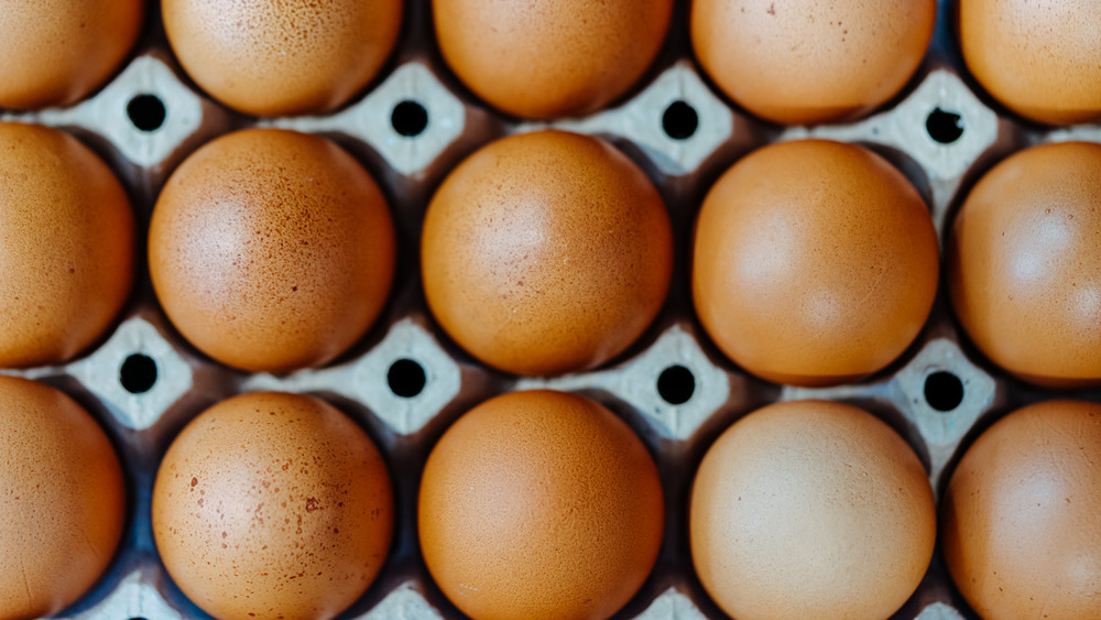 Egg carton with eggs