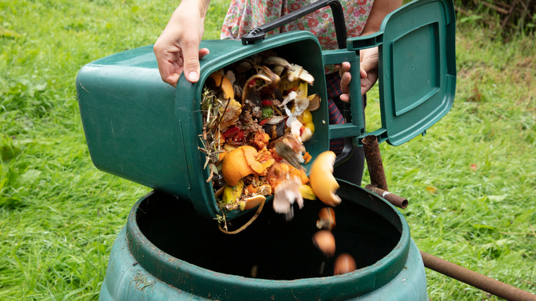 Person emptying a home composting bin