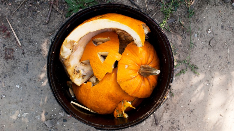 pumpkin in the trash