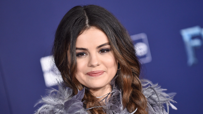 Selena Gomez at Frozen II Premiere 