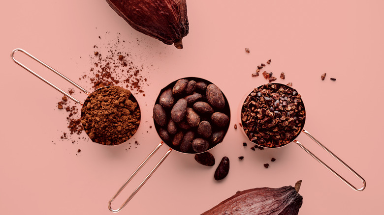 Cocoa beans, powder, and pods on a pink background