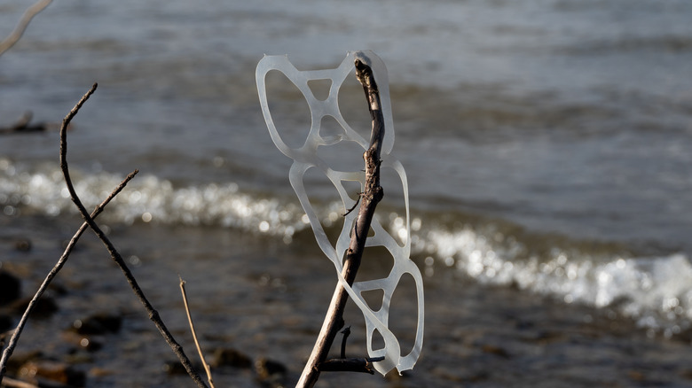 Plastic six-pack ring hanging on twig with ocean in background