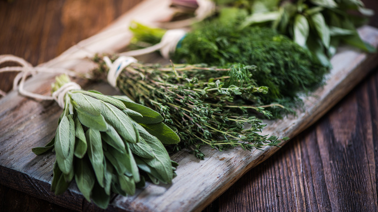 variety of fresh herbs