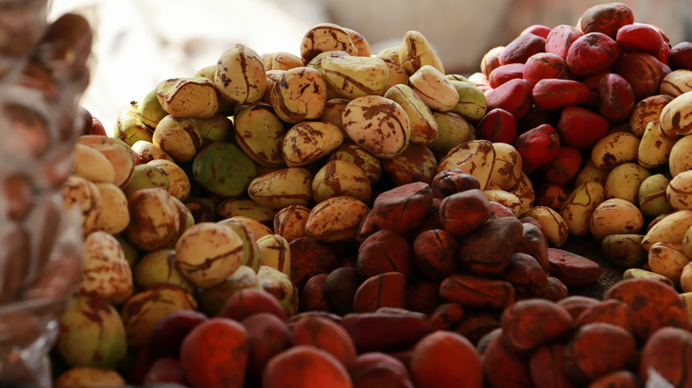 Kola nuts 