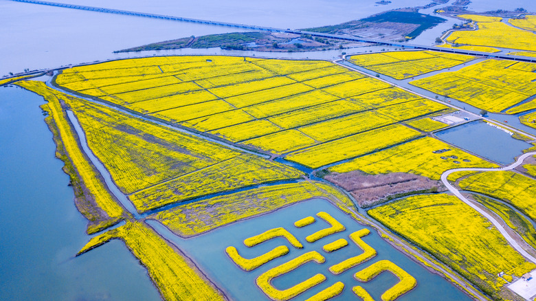 Gaoyou waterways and marshes