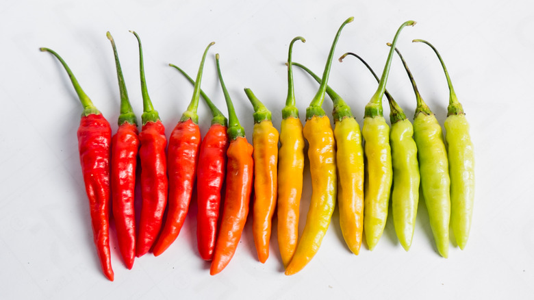 variety of chili peppers