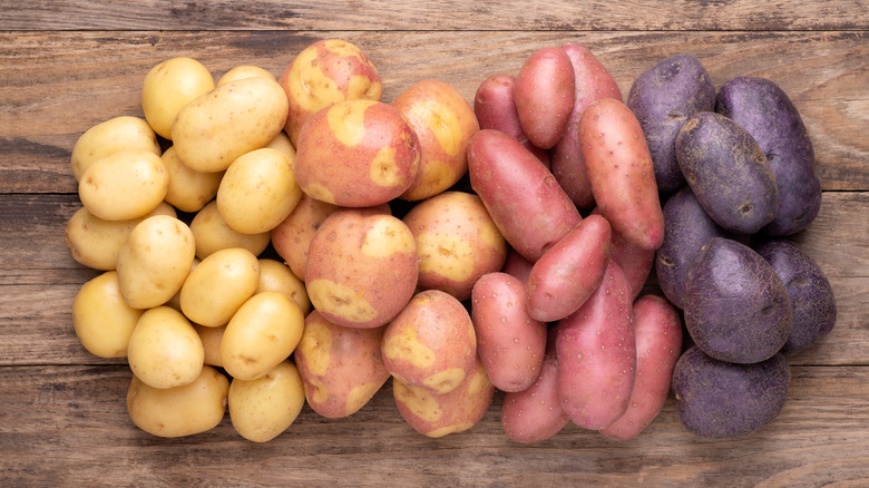 variety of potatoes