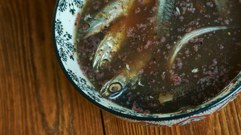 A closeup shot of garum in a bowl