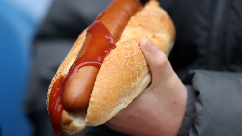 Man holding hot dog with ketchup