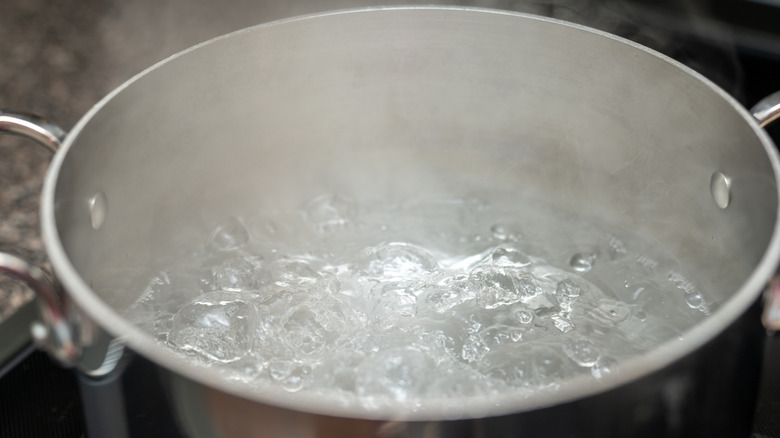 boiling water in pot