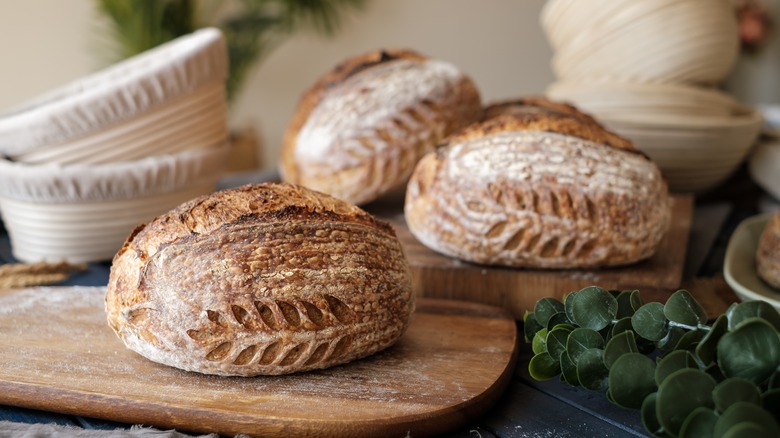 Scored fresh sourdough bread loaves 