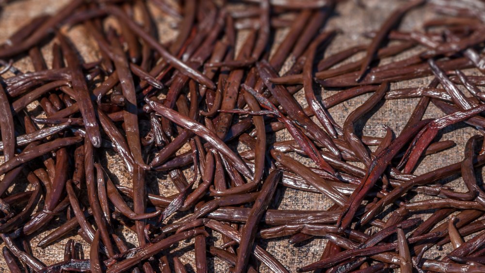 drying bourbon vanilla