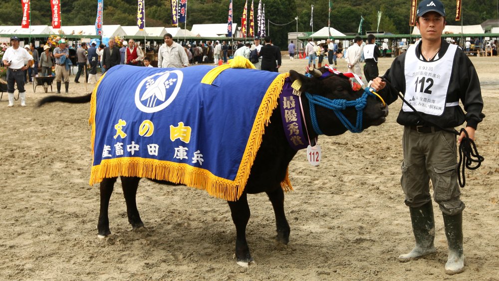 livestock auction