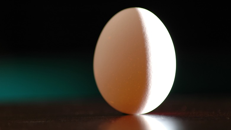 egg standing on end